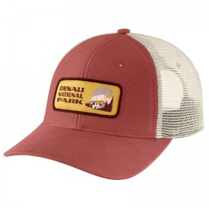 Carhartt Canvas Denali National Park Patch Şapkalar Erkek Pembe | AEU-865409