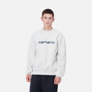 Carhartt Carhartt Sweatshirt Erkek Gri | FTM-879260