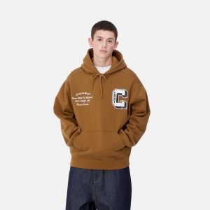 Carhartt Hooded Brown Ducks Kapşonlu Erkek Kahverengi | CRU-054872