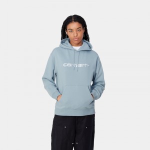 Carhartt Hooded Sweatshirt Kadın Mavi | CXI-793065