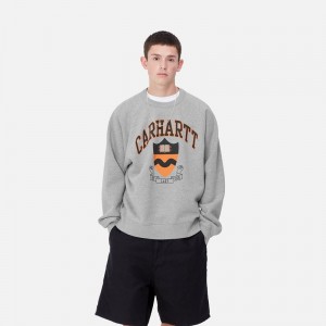 Carhartt Lazy Duck Academy Sweatshirt Erkek Gri | HCM-042183