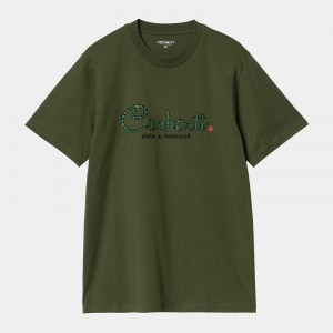 Carhartt Paradise Script Tişört Erkek Yeşil | DJW-631409