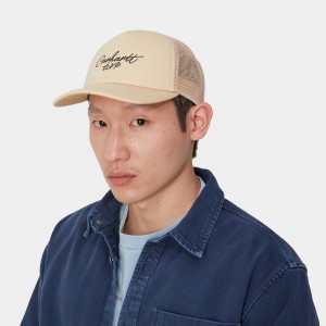 Carhartt Signature Trucker Şapkalar Erkek Bej Rengi | TZG-361708