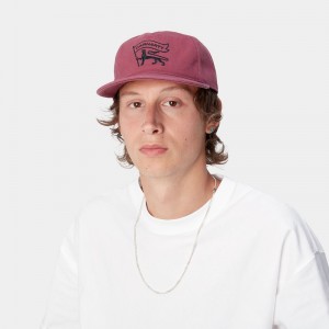 Carhartt Stamp Şapkalar Erkek Pembe | QVY-795283