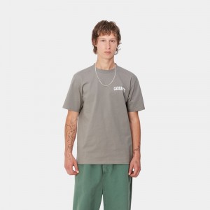 Carhartt University Script Tişört Erkek Gri | KNZ-689537