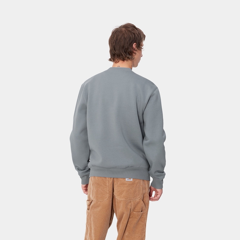 Carhartt Carhartt Sweatshirt Erkek Gri | KQD-759346