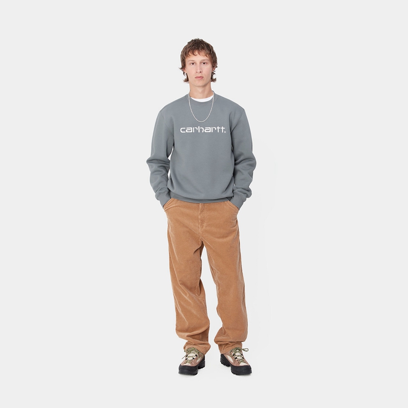 Carhartt Carhartt Sweatshirt Erkek Gri | KQD-759346