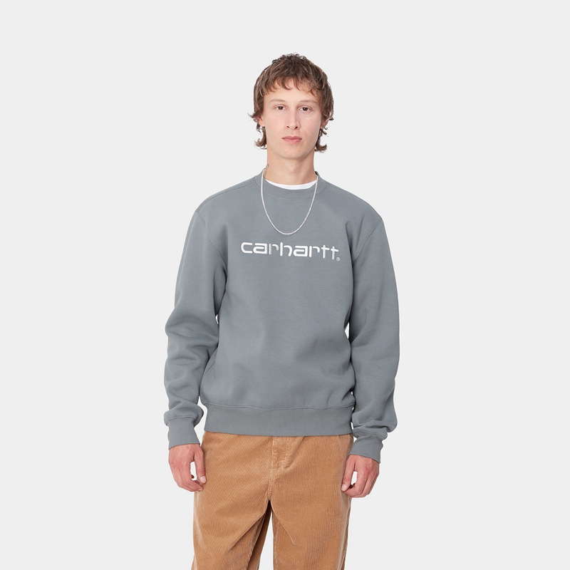 Carhartt Carhartt Sweatshirt Erkek Gri | KQD-759346