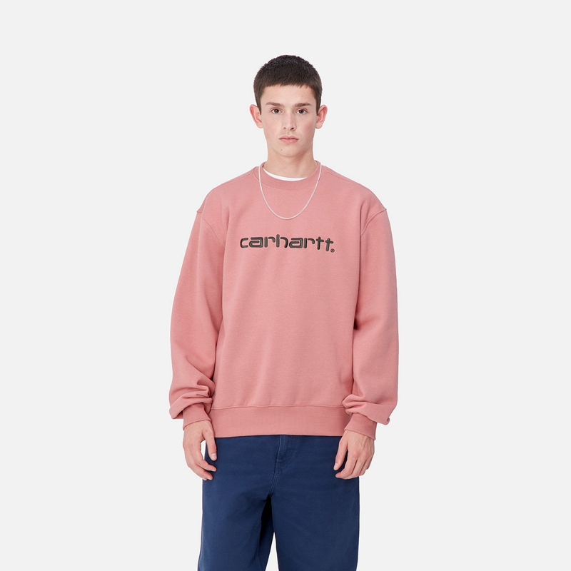 Carhartt Carhartt Sweatshirt Erkek Pembe | KVY-372045