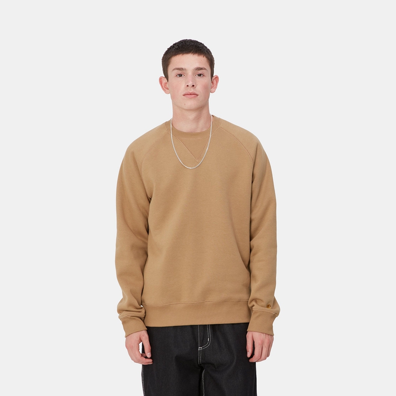 Carhartt Chase Sweatshirt Erkek Bej Rengi | FME-701895