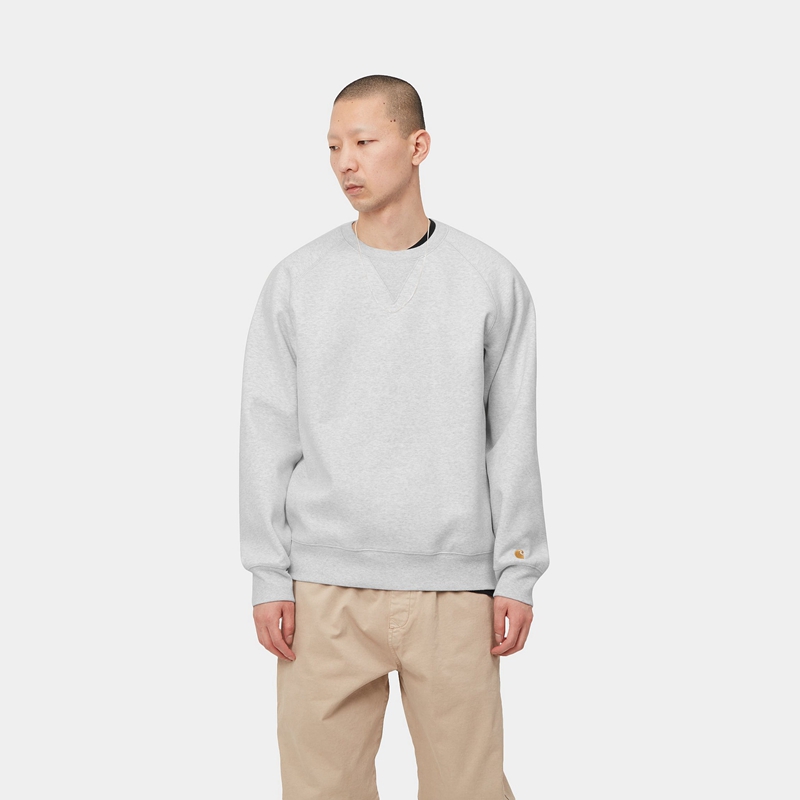 Carhartt Chase Sweatshirt Erkek Gri | CFL-579138