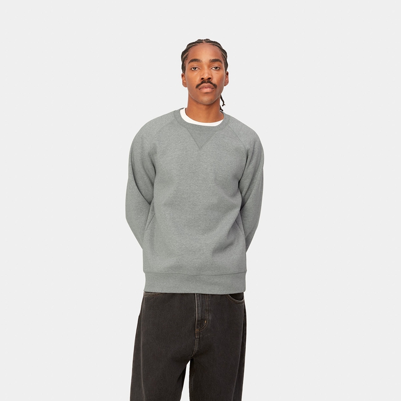 Carhartt Chase Sweatshirt Erkek Gri | JYX-368542