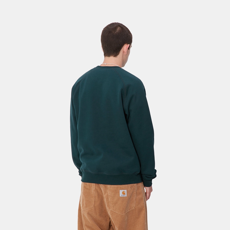 Carhartt Chase Sweatshirt Erkek Tavuskuşu Mavi | JFA-537926