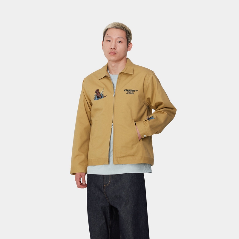 Carhartt Ducks Ceket Erkek Haki | WAN-390471