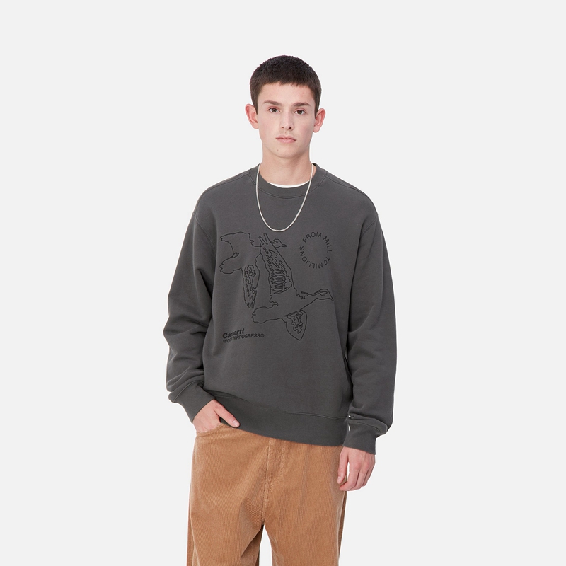 Carhartt Flying Ducks Sweatshirt Erkek Koyu Gri | NBW-817402