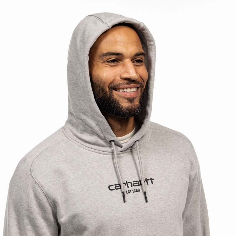 Carhartt Force® Relaxed Fit Lightweight LogoGraphic Sweatshirt Erkek Gri | ZNB-205837