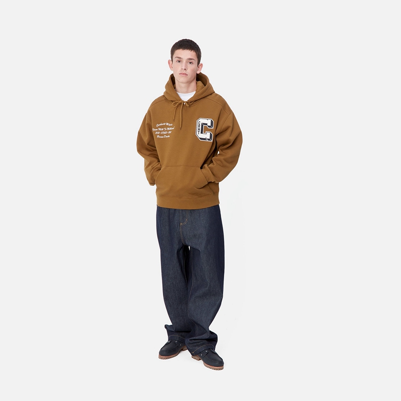 Carhartt Hooded Brown Ducks Kapşonlu Erkek Kahverengi | CRU-054872