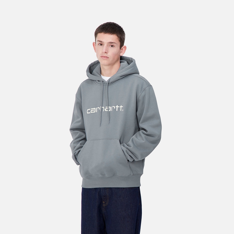 Carhartt Hooded Kapşonlu Erkek Gri | BVD-461528