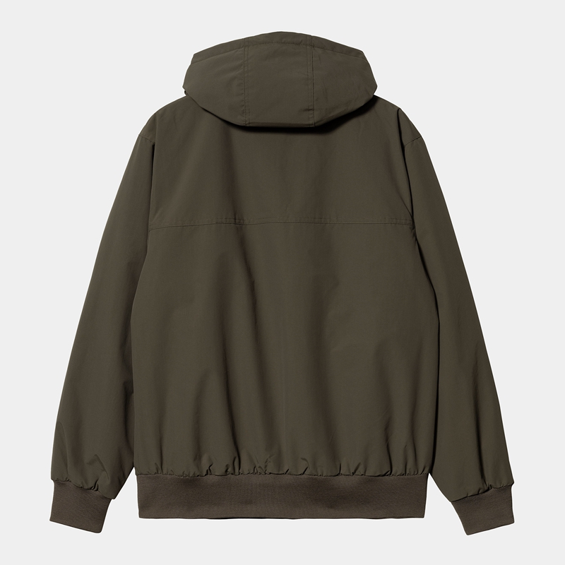 Carhartt Hooded Sail Ceket Erkek Zeytin Yeşili | IEC-376509