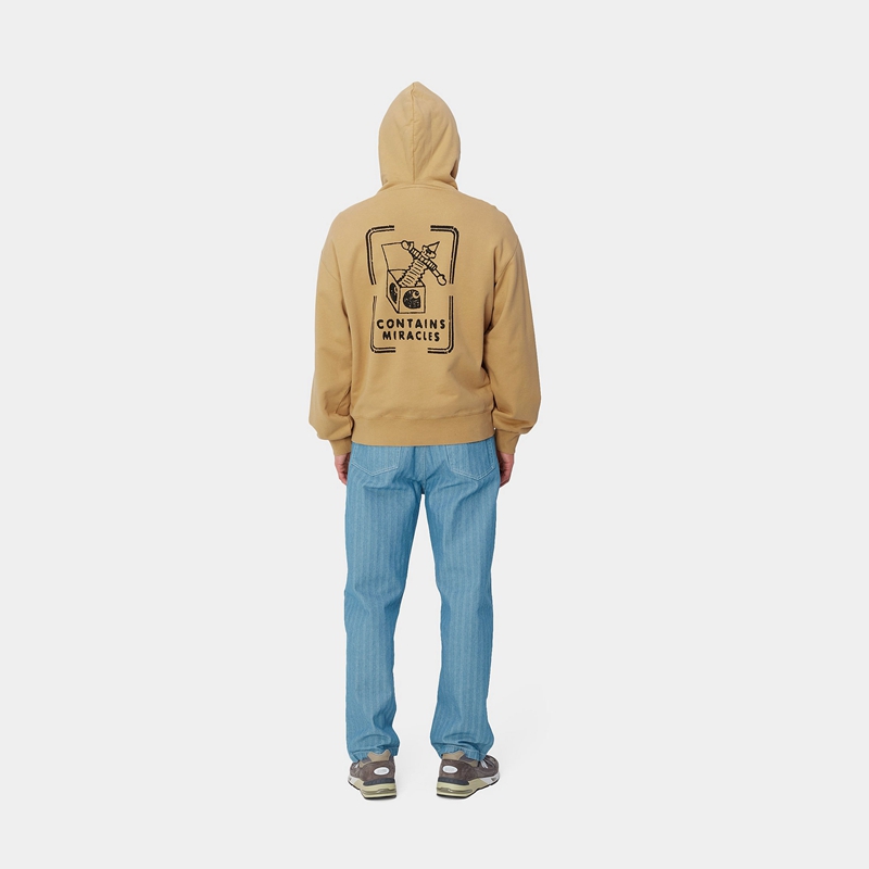 Carhartt Hooded Stamp Kapşonlu Erkek Haki | DQR-362950