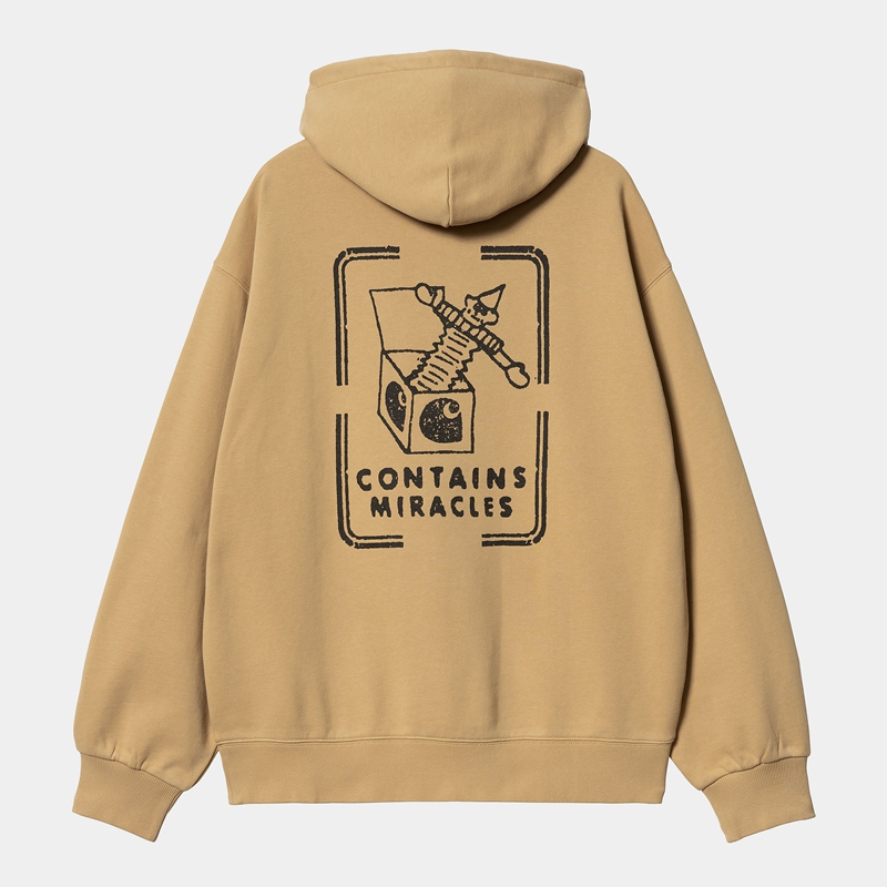 Carhartt Hooded Stamp Kapşonlu Erkek Haki | DQR-362950