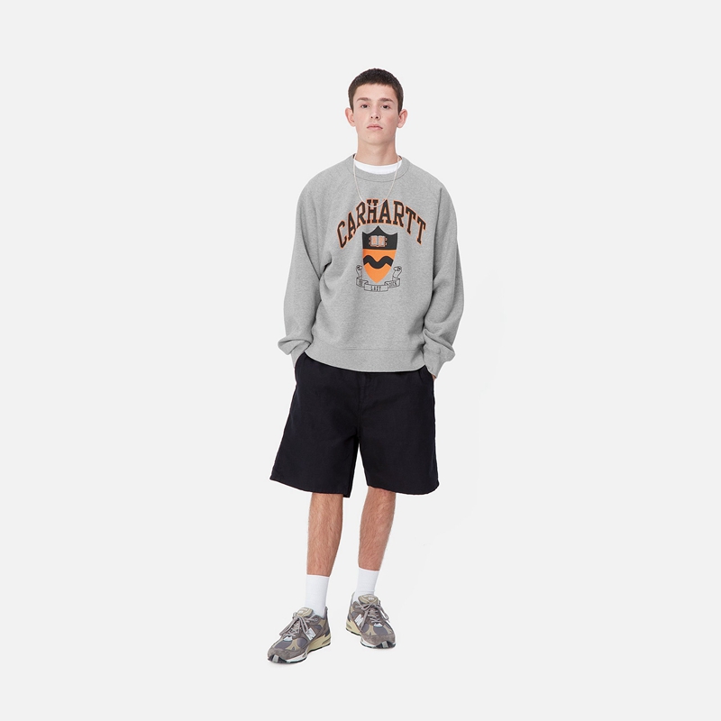 Carhartt Lazy Duck Academy Sweatshirt Erkek Gri | HCM-042183