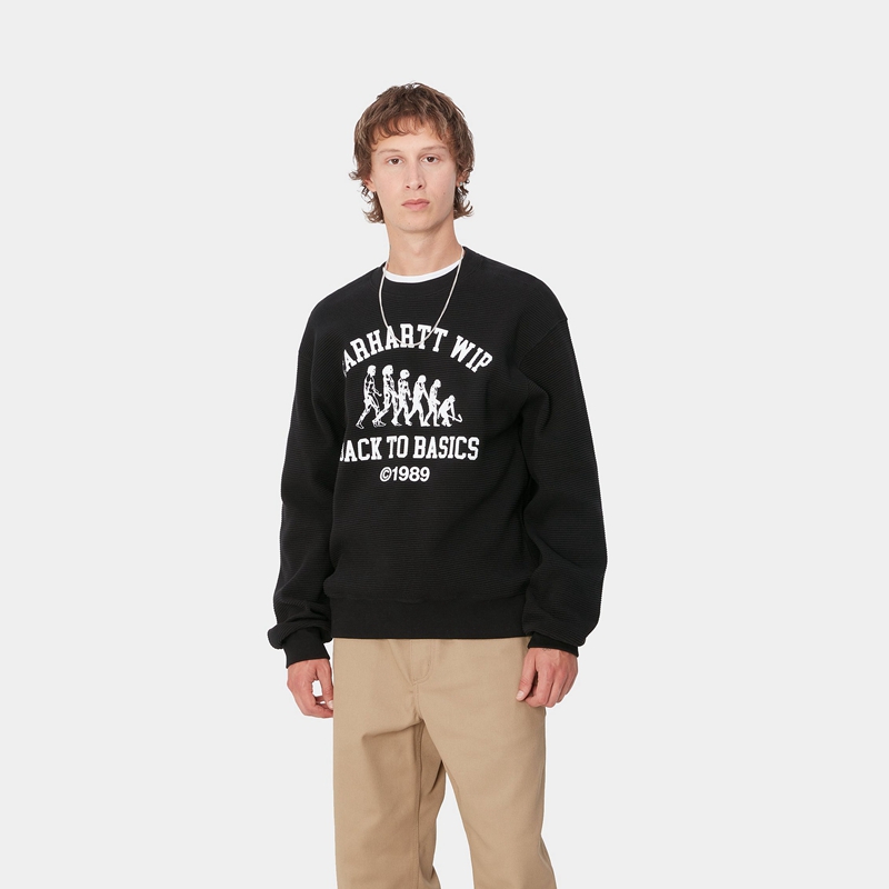 Carhartt Main Basics Sweatshirt Erkek Siyah | AVB-867421