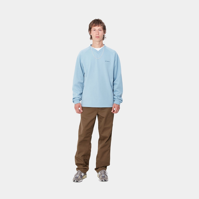 Carhartt Simple Pantolon Erkek Koyu Kahverengi | LCR-235791