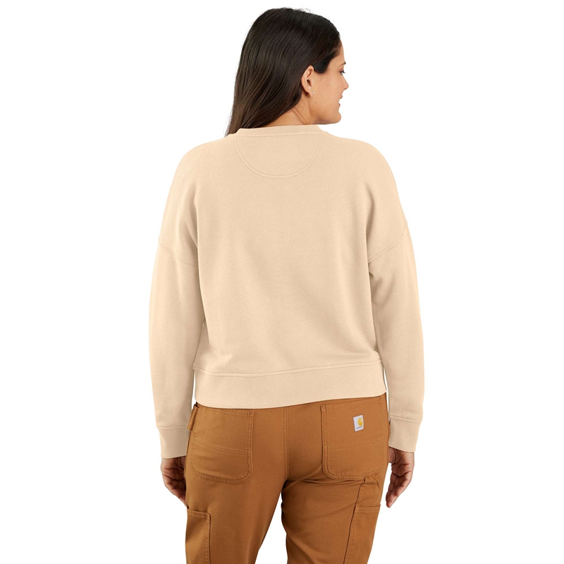 Carhartt TENCEL™ Fiber Series Loose Fit French Terry Henley Sweatshirt Kadın Mavi | RPZ-473918