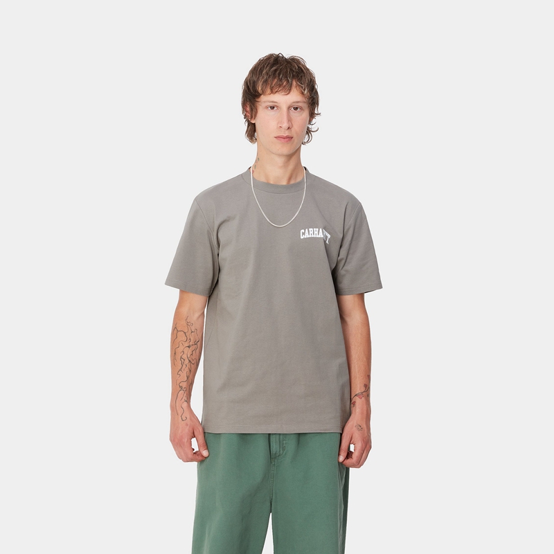 Carhartt University Script Tişört Erkek Gri | KNZ-689537